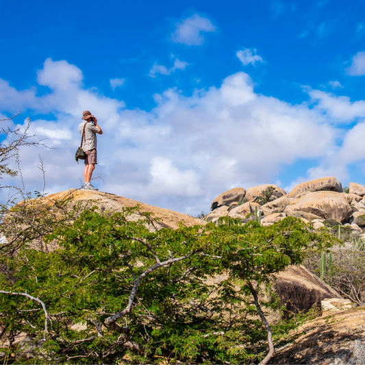 Solo Bus Tour - Private 1/2 Island Tour