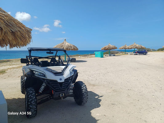 Paradise Pirates Rentals |